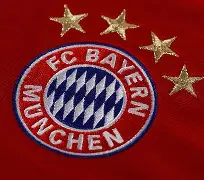 拜仁慕尼黑中场核心受伤，球队实力受损的简单介绍